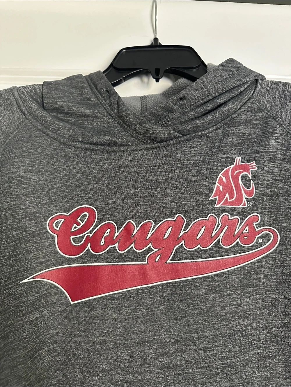 WSU Cougars Colosseum hoodie